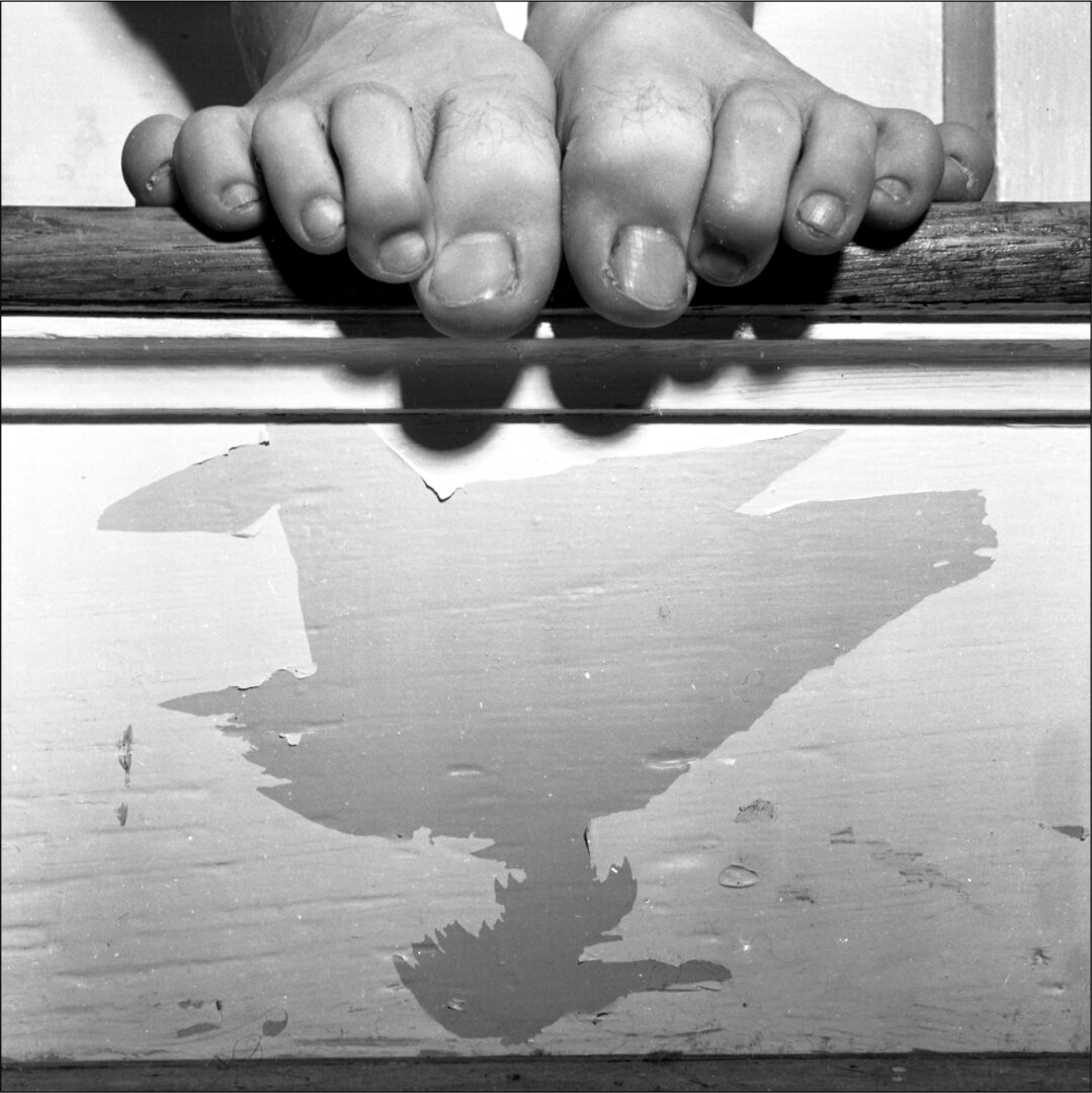 Feet gripping a railing with a bird shadow below.