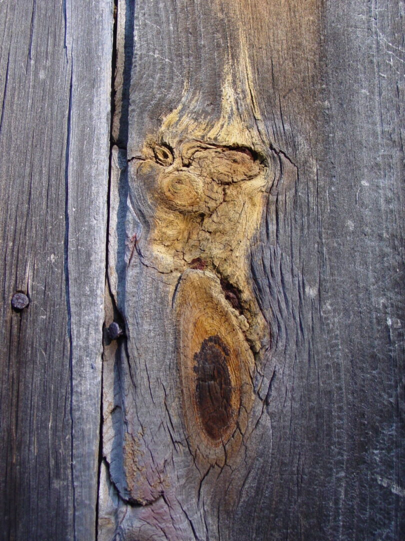 Wood grain pattern resembling a cat's face on a weathered wooden plank.