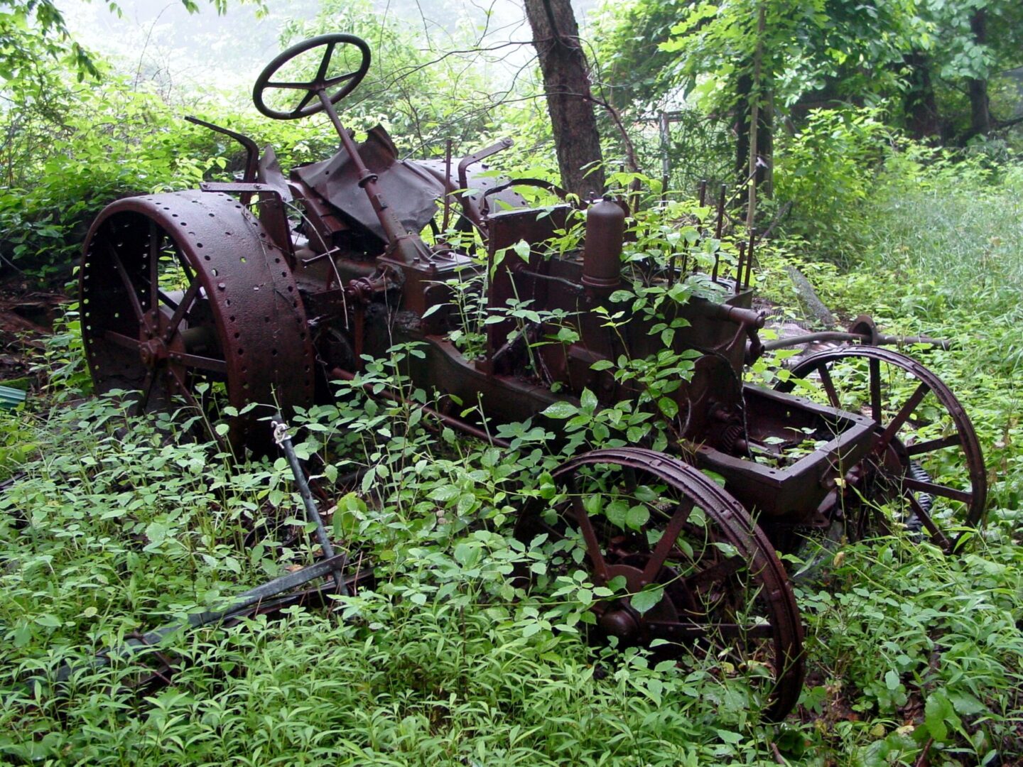 An old, rusted tractor overtaken by dense greenery in a forest.