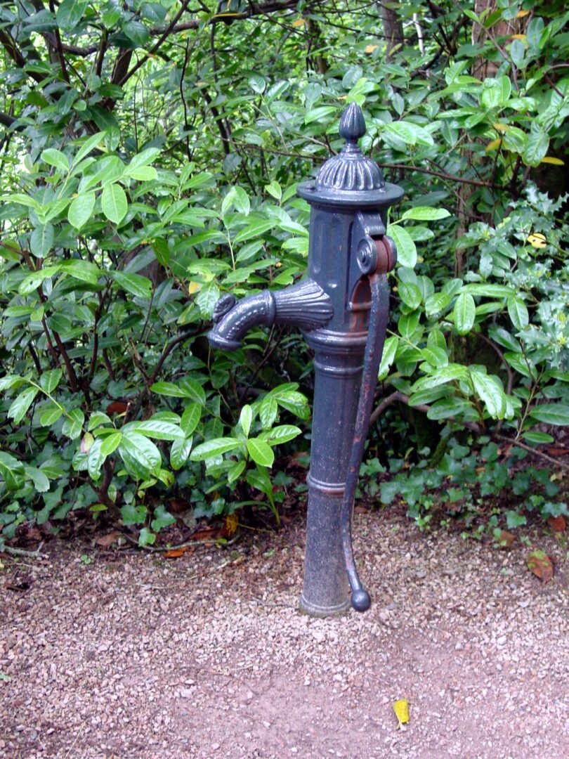 An old-fashioned black water pump in a garden surrounded by greenery.