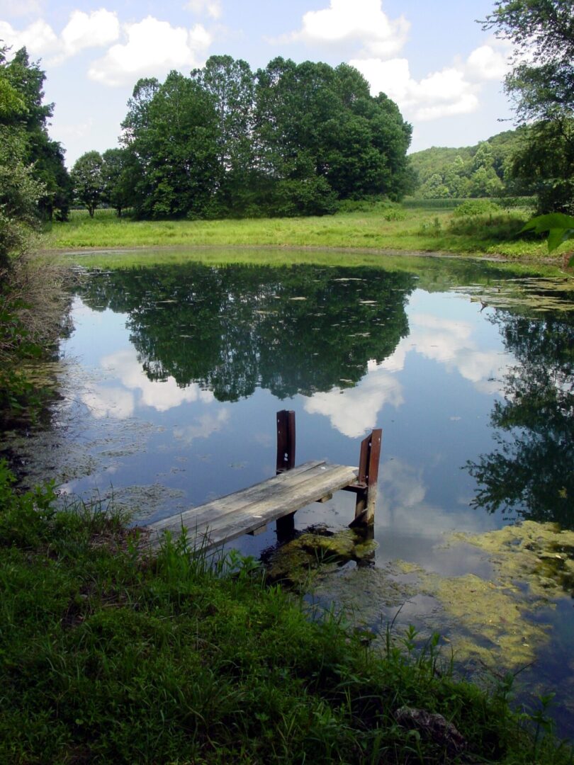 A small wooden dock on a calm pond reflecting trees and sky.