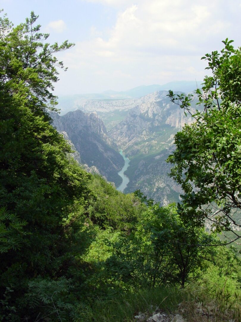 Lush green trees frame a winding river through a mountainous landscape.