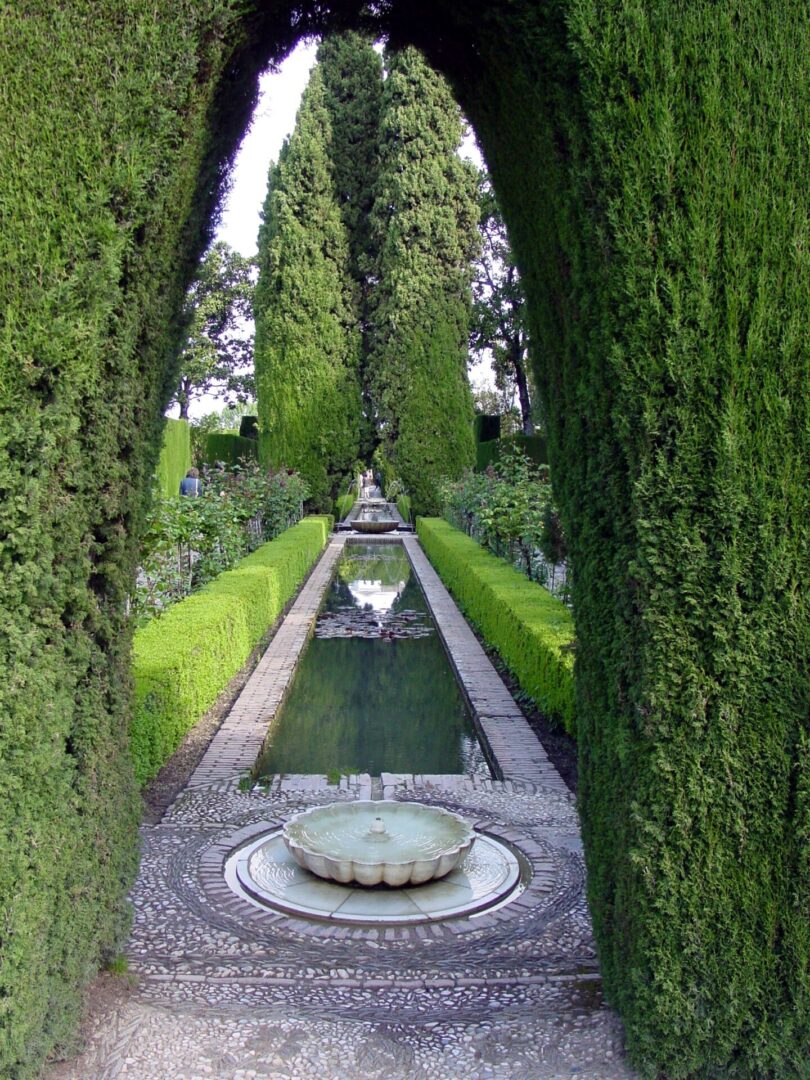 Symmetrical garden pathway with tall green trees and a small water fountain.