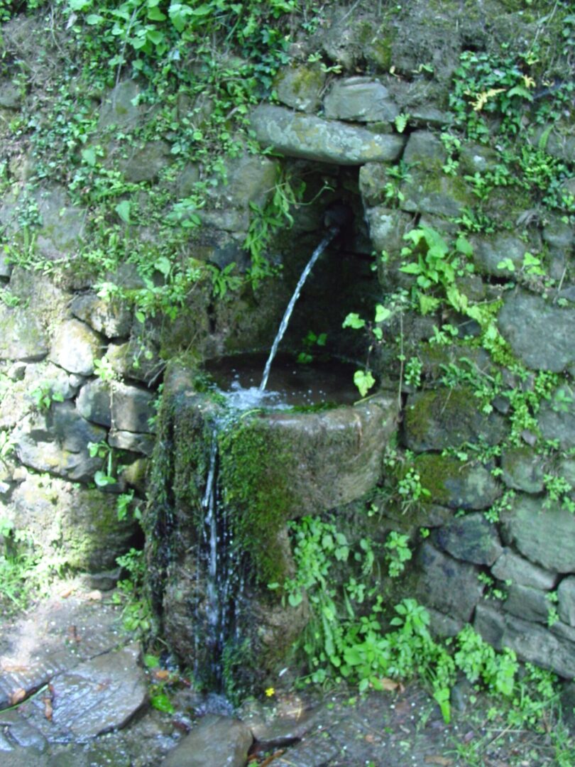 Stone fountain with water flowing, surrounded by greenery.