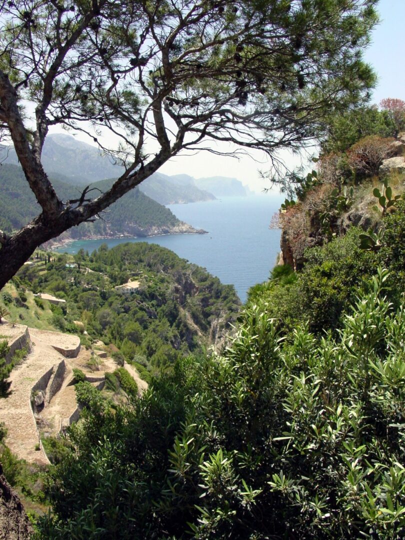 Scenic coastal view with cliffs, greenery, and the sea.