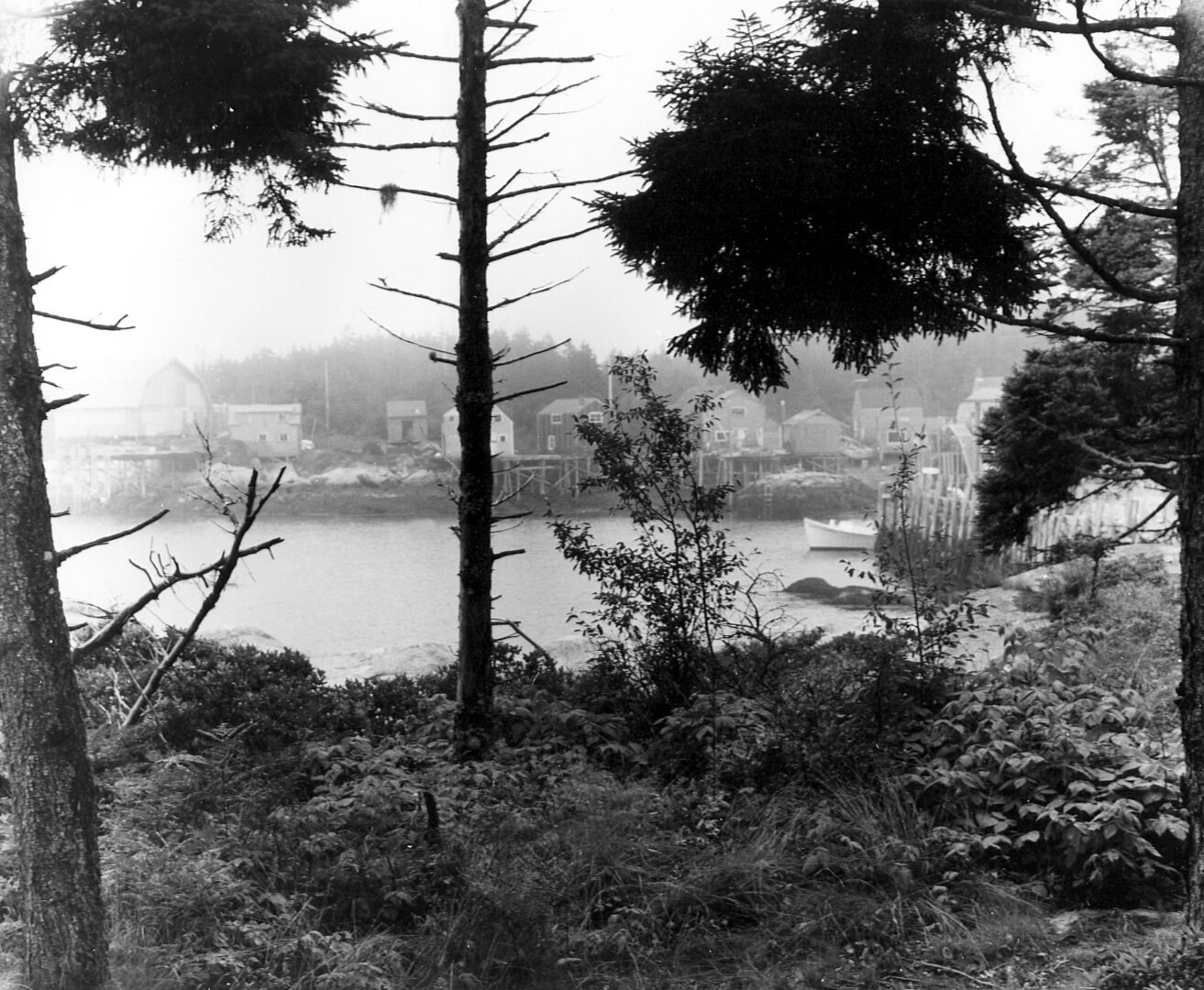 Black and white photo of a river view through trees and bushes.