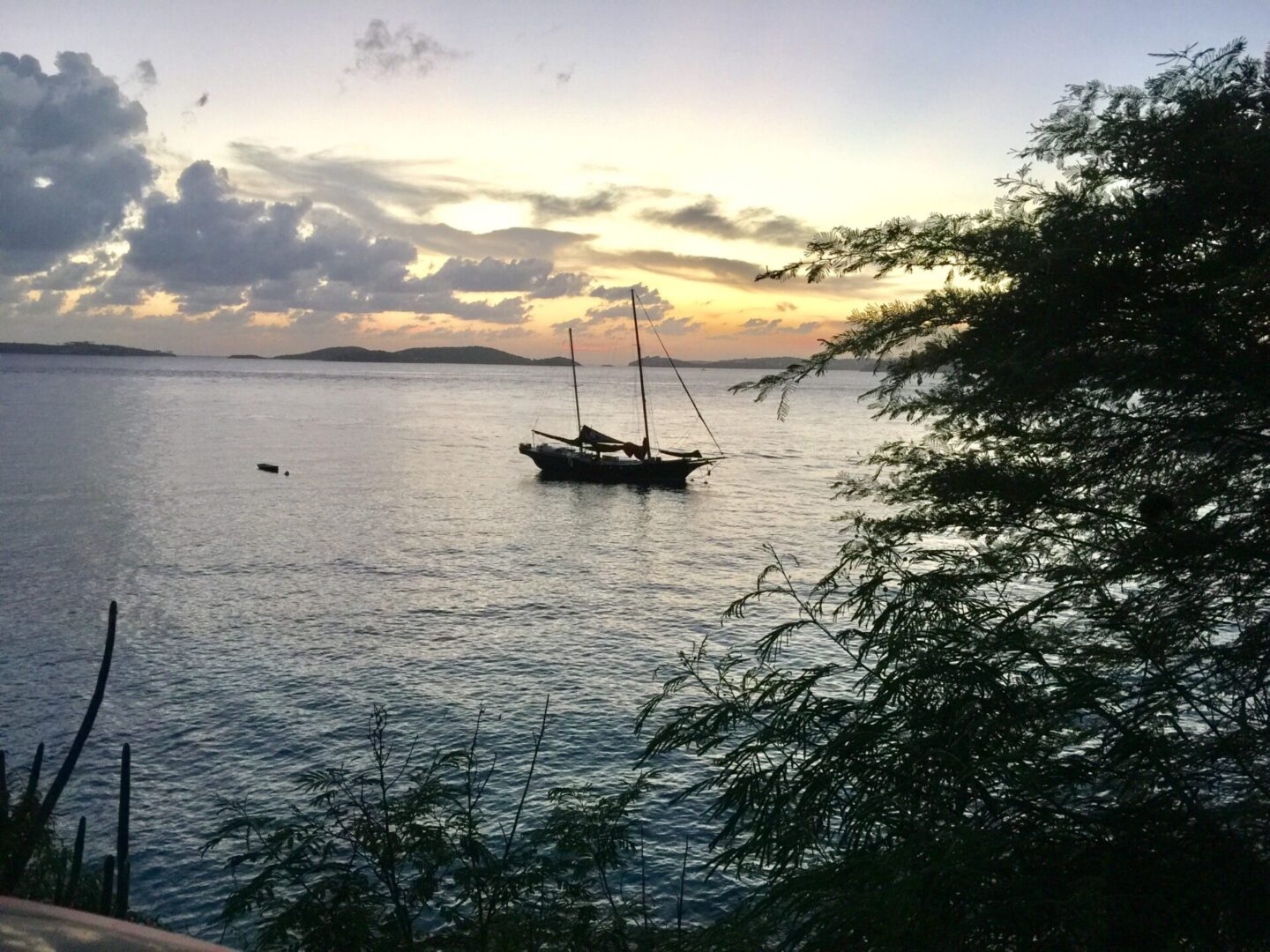 Sailboat anchored on calm waters during sunset with silhouetted trees.