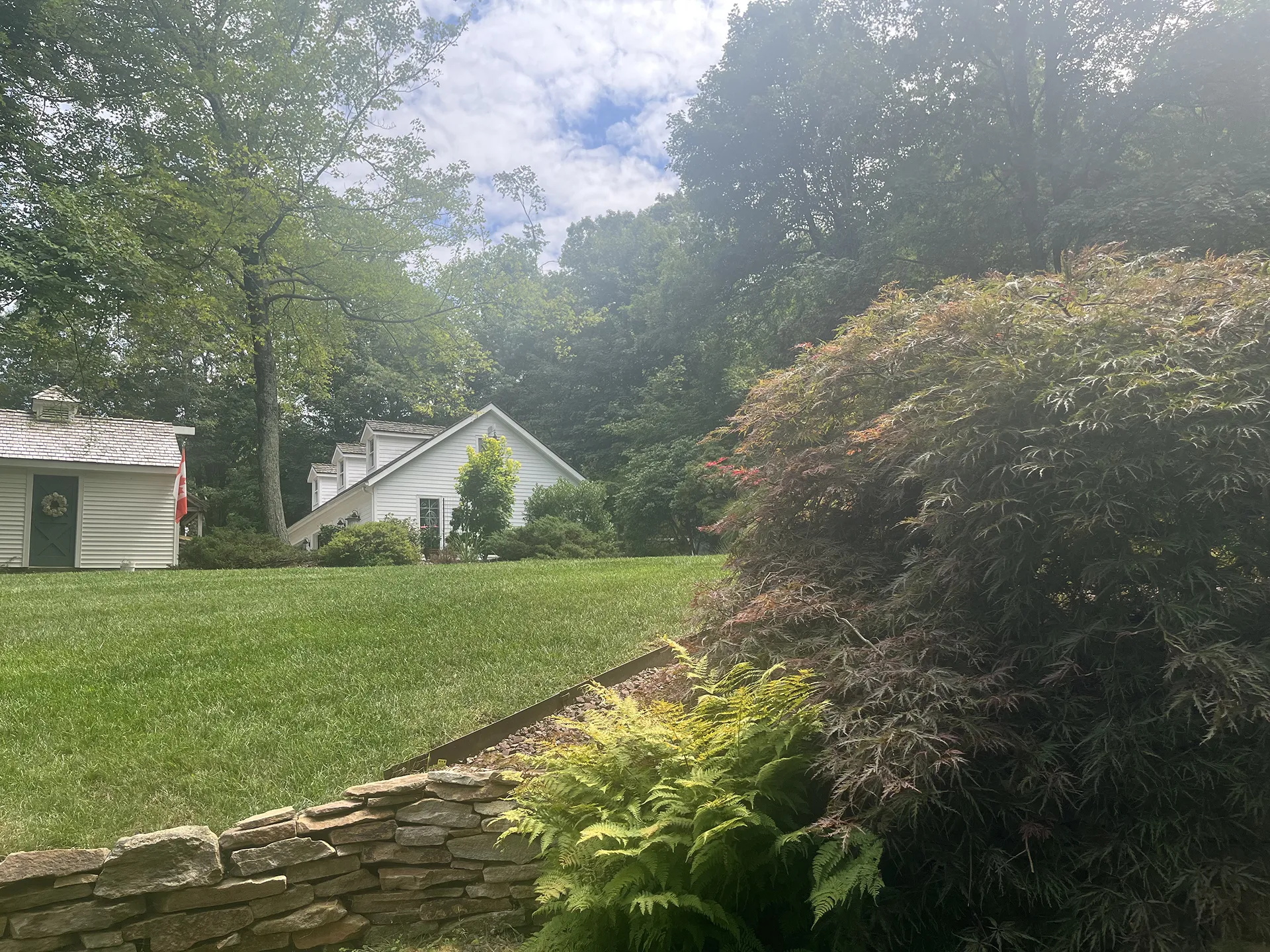 Sunny backyard with greenery and a stone wall.