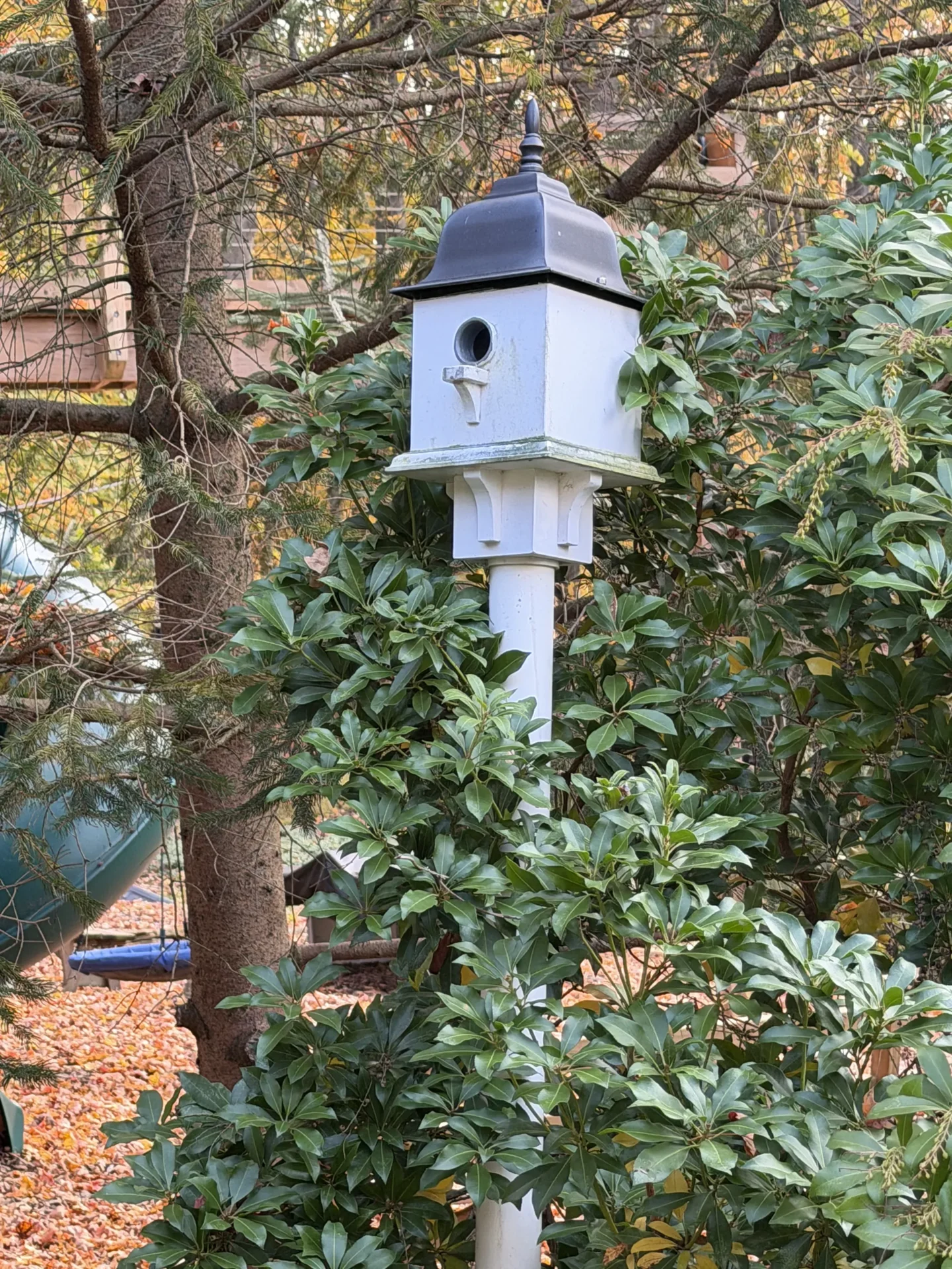 A white birdhouse with a blue roof mounted on a pole among green foliage.