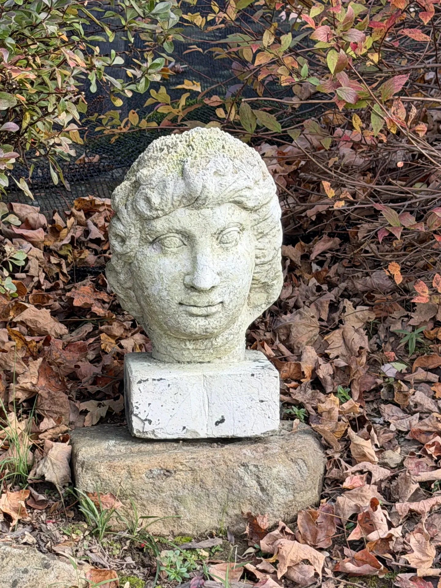 Stone sculpture of a human head outdoors among fallen leaves.