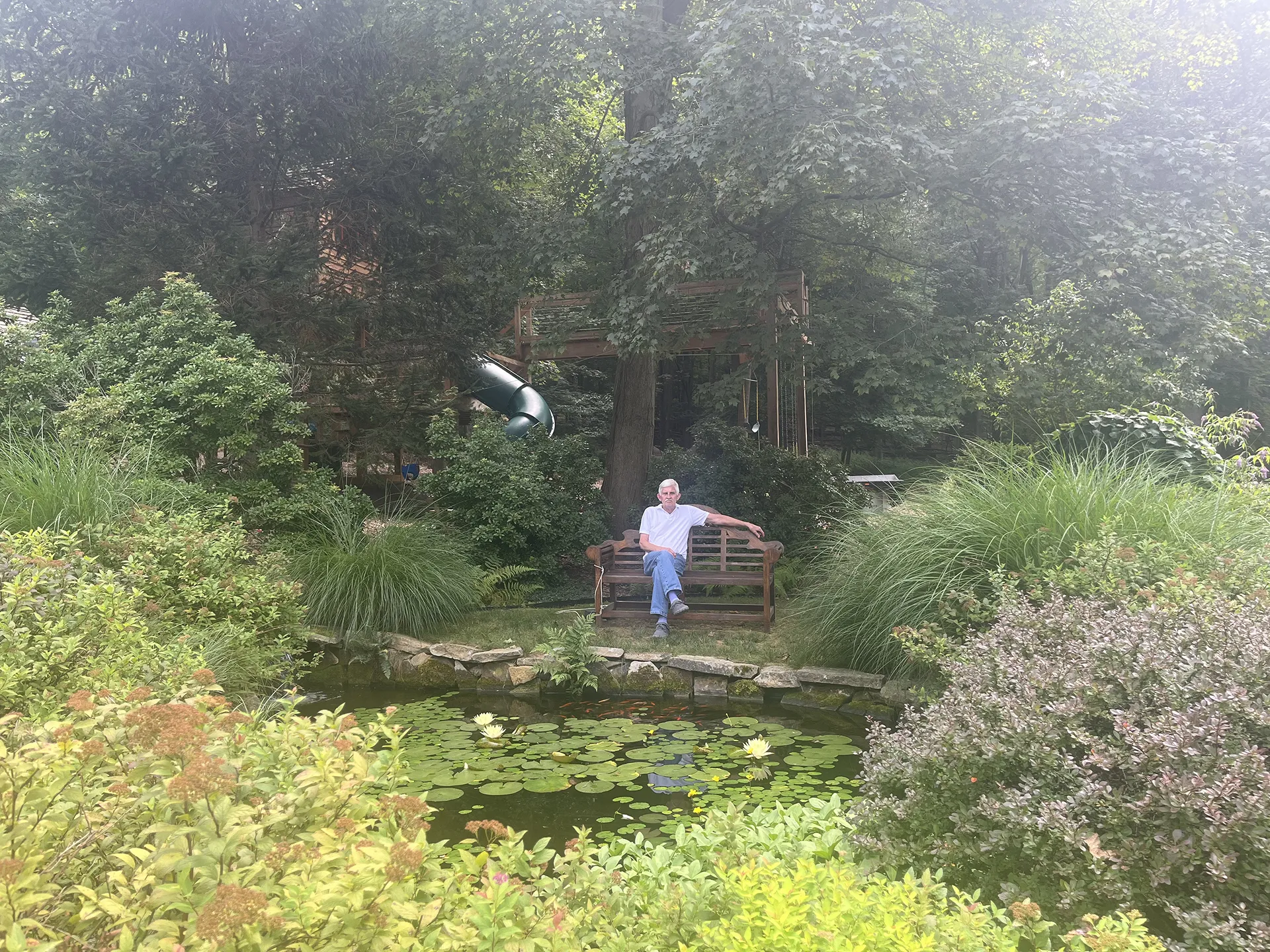 Person sitting on a bench near a pond surrounded by lush greenery.