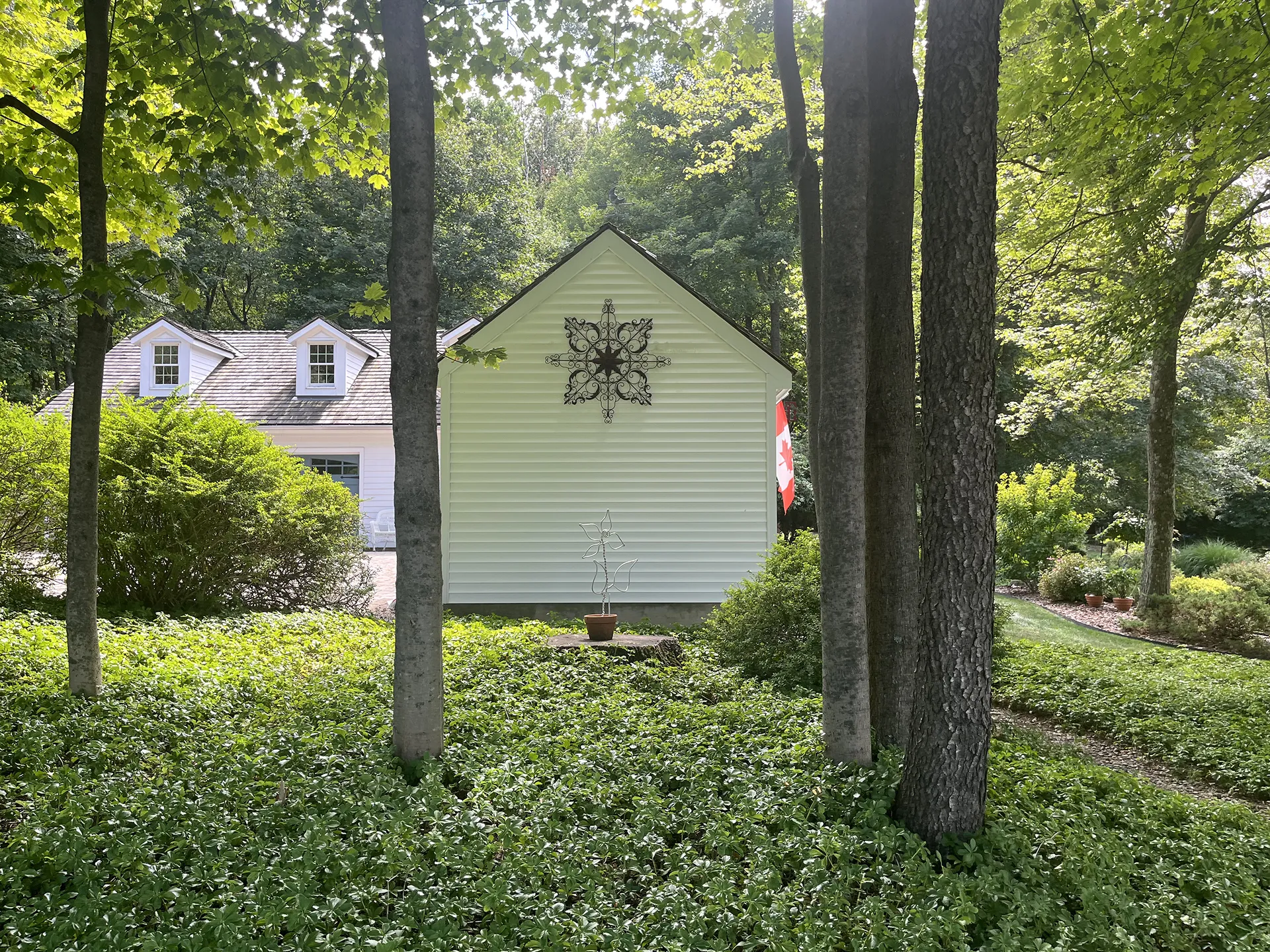 A small white shed surrounded by trees and greenery.