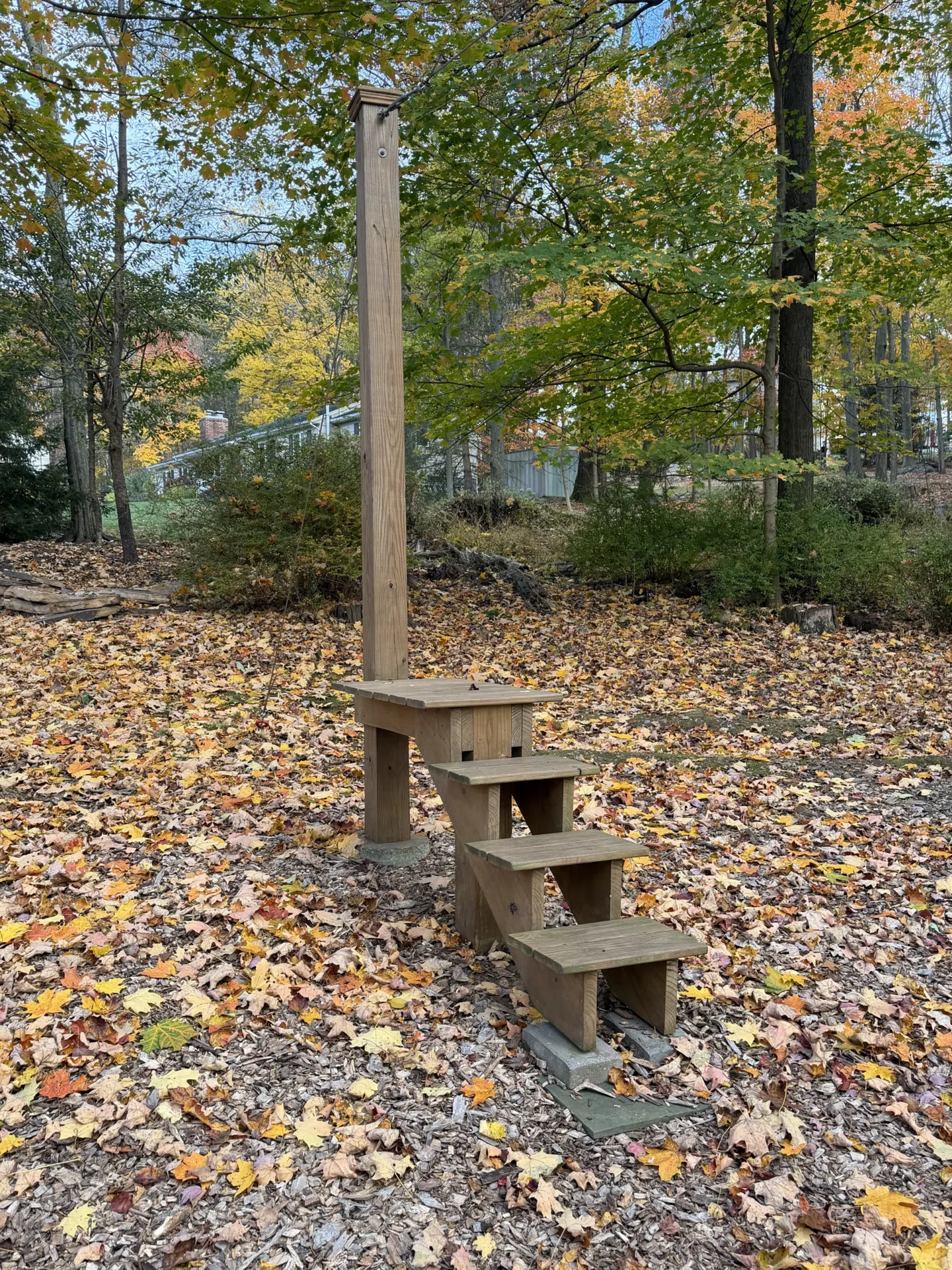Wooden outdoor steps leading to a tree platform in a leafy garden.