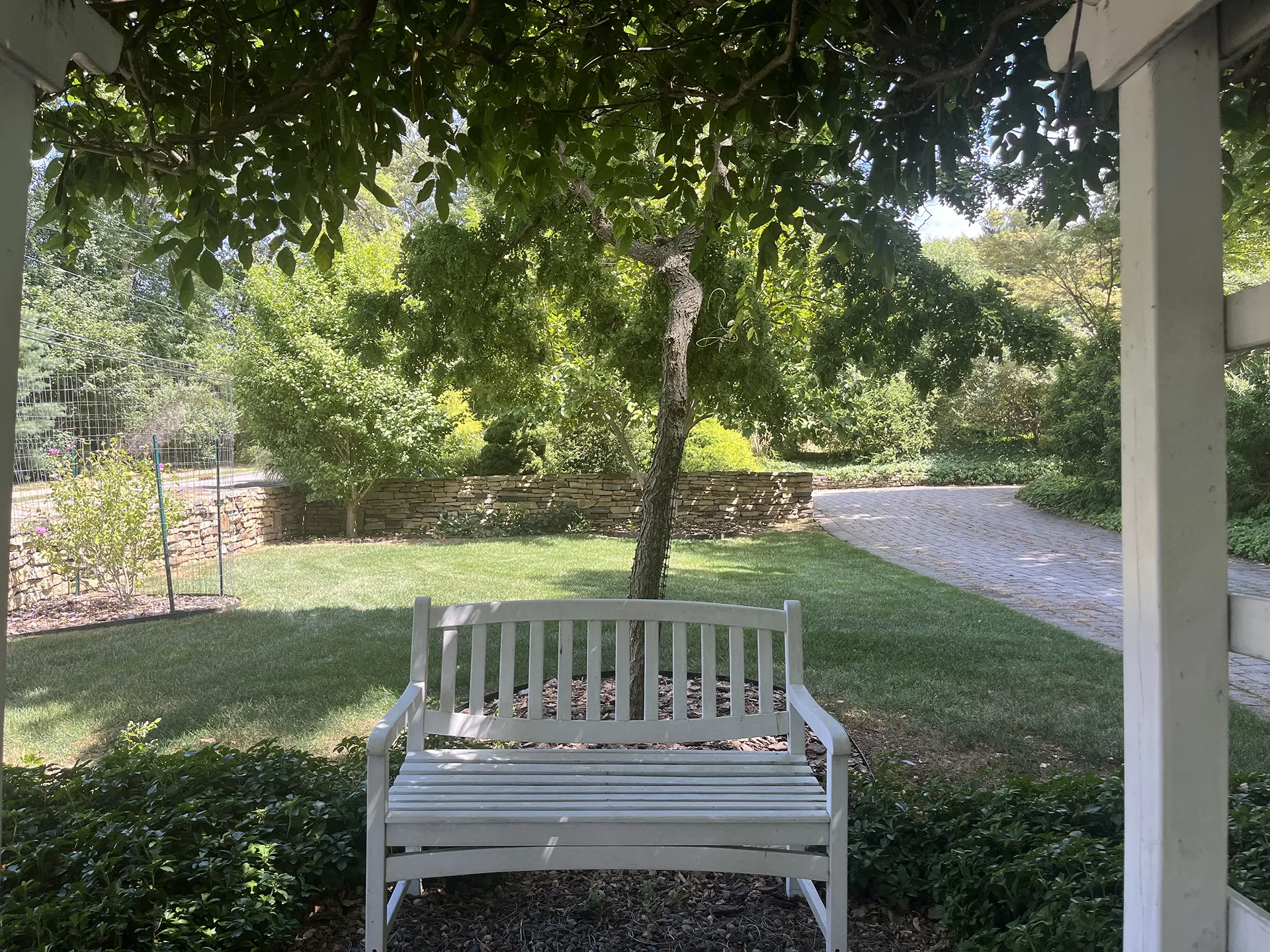 White bench under shaded tree in a peaceful garden.