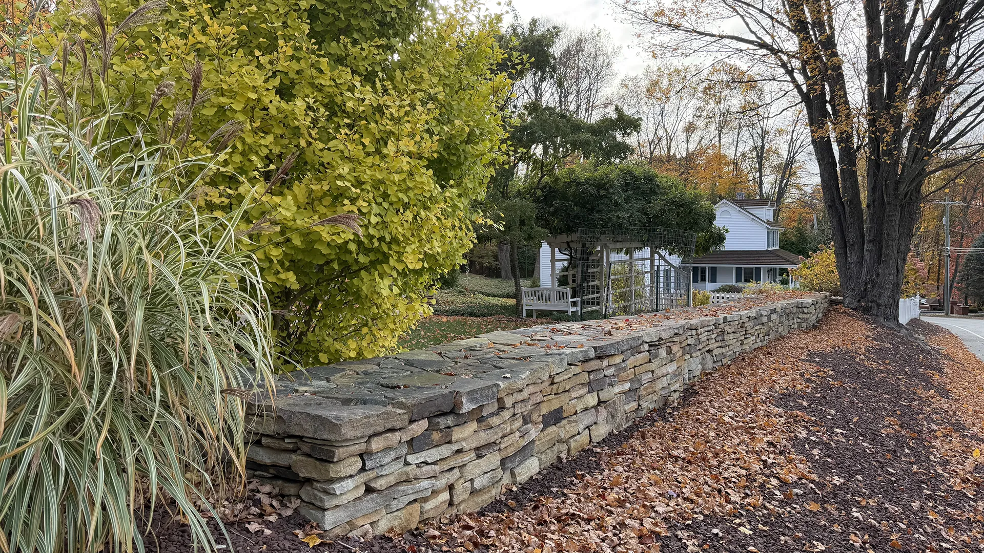 A dry stone wall with yellow-green shrubbery and fallen leaves beside it.