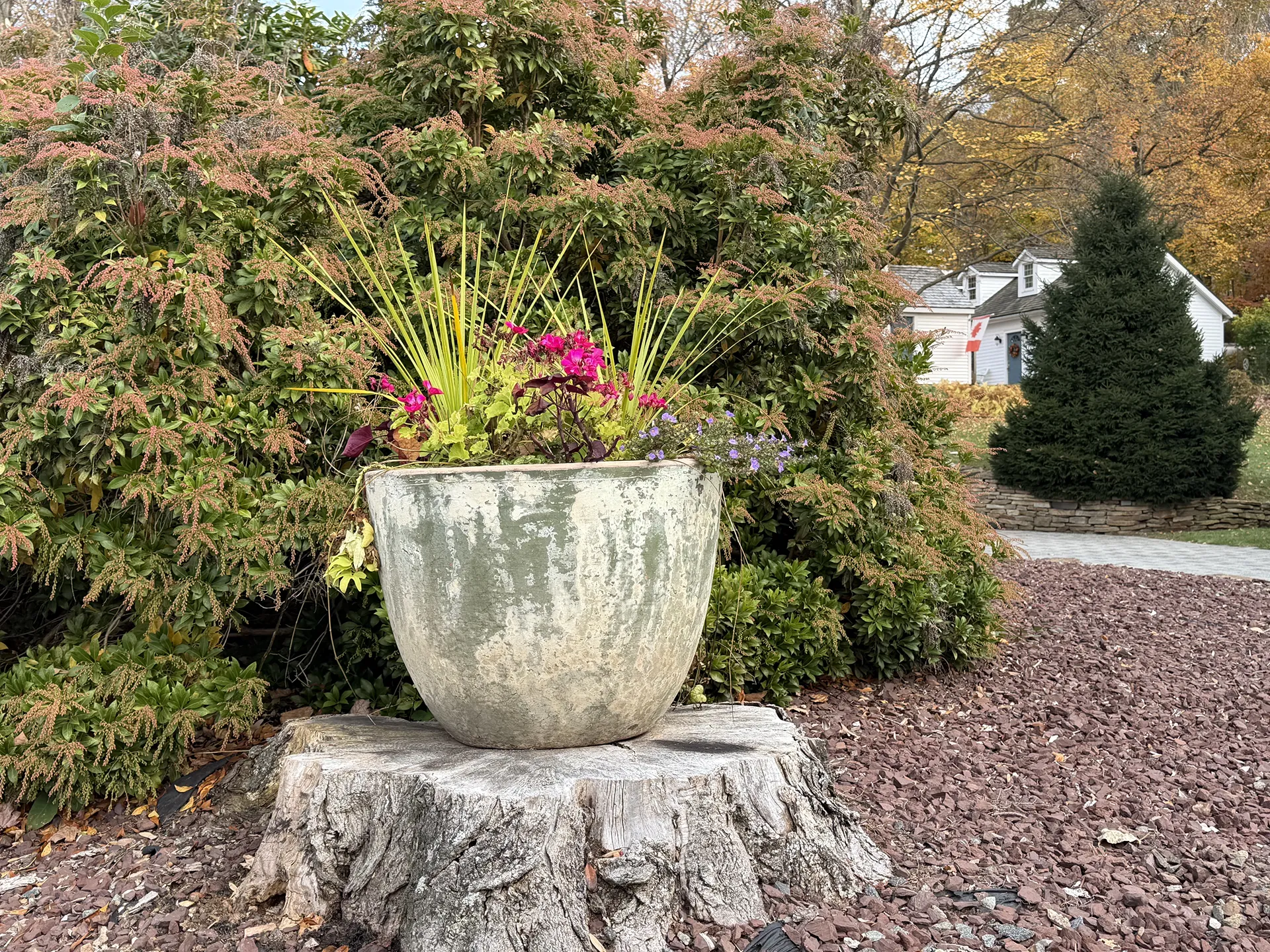 A large planter with colorful plants on a tree stump.