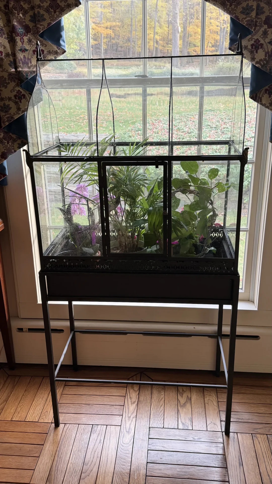 Indoor black metal plant stand filled with various green plants by a window.