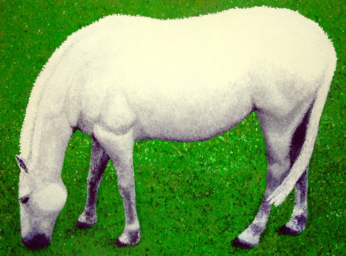A white horse grazing on bright green grass.