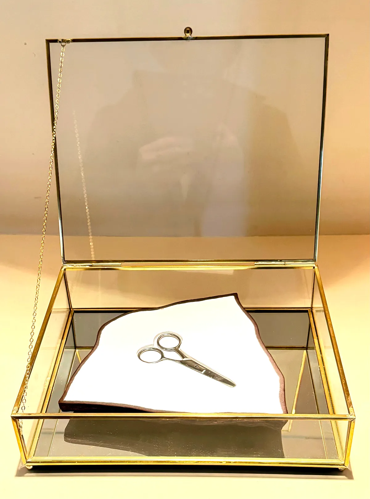 Small scissors placed on a cloth inside an open glass box.