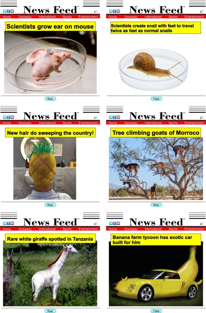 Various news headlines with humorous and unusual news topics.